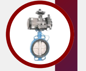 Pneumatic Butterfly Valve